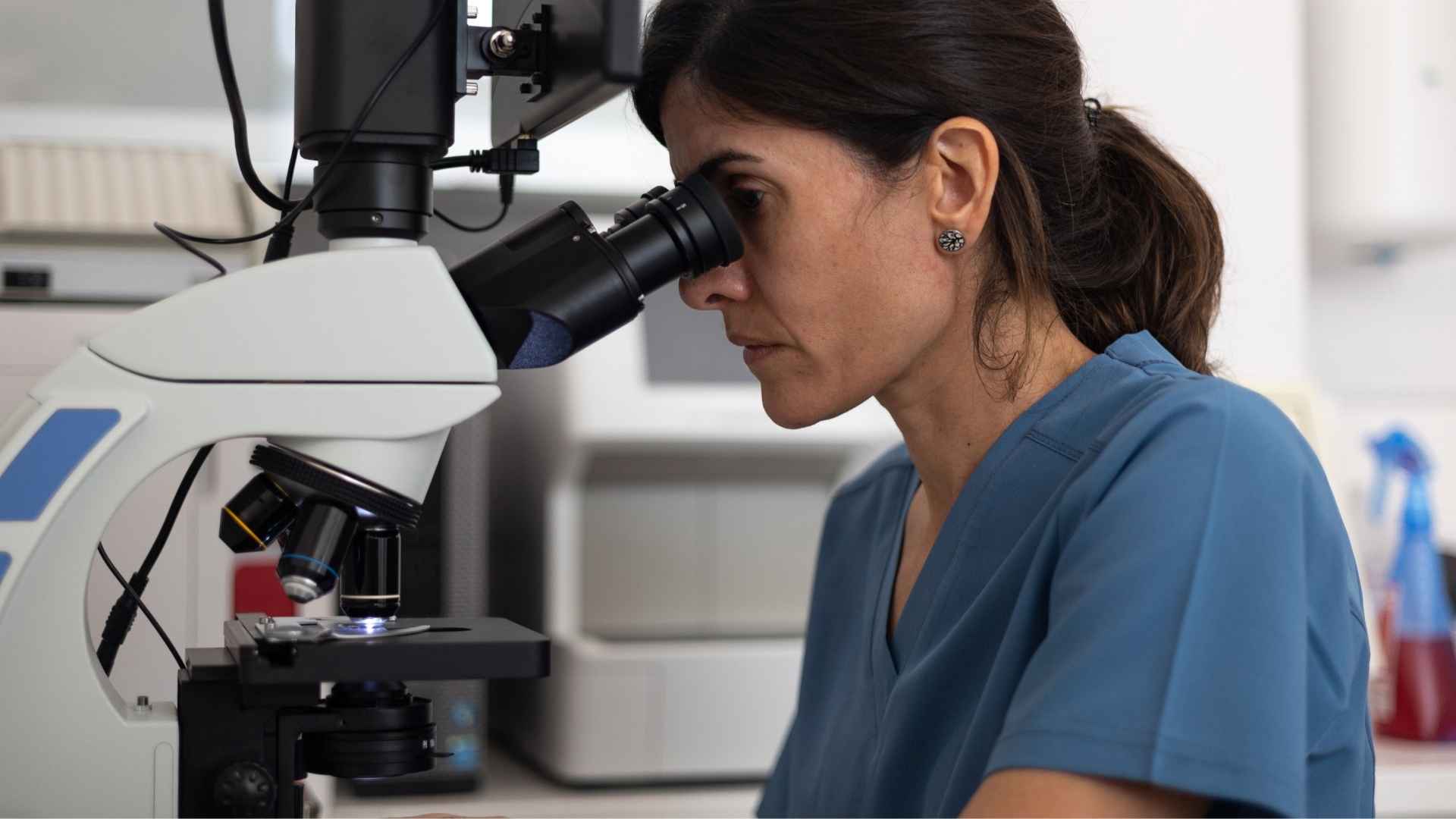 Diagnostico hongos perros